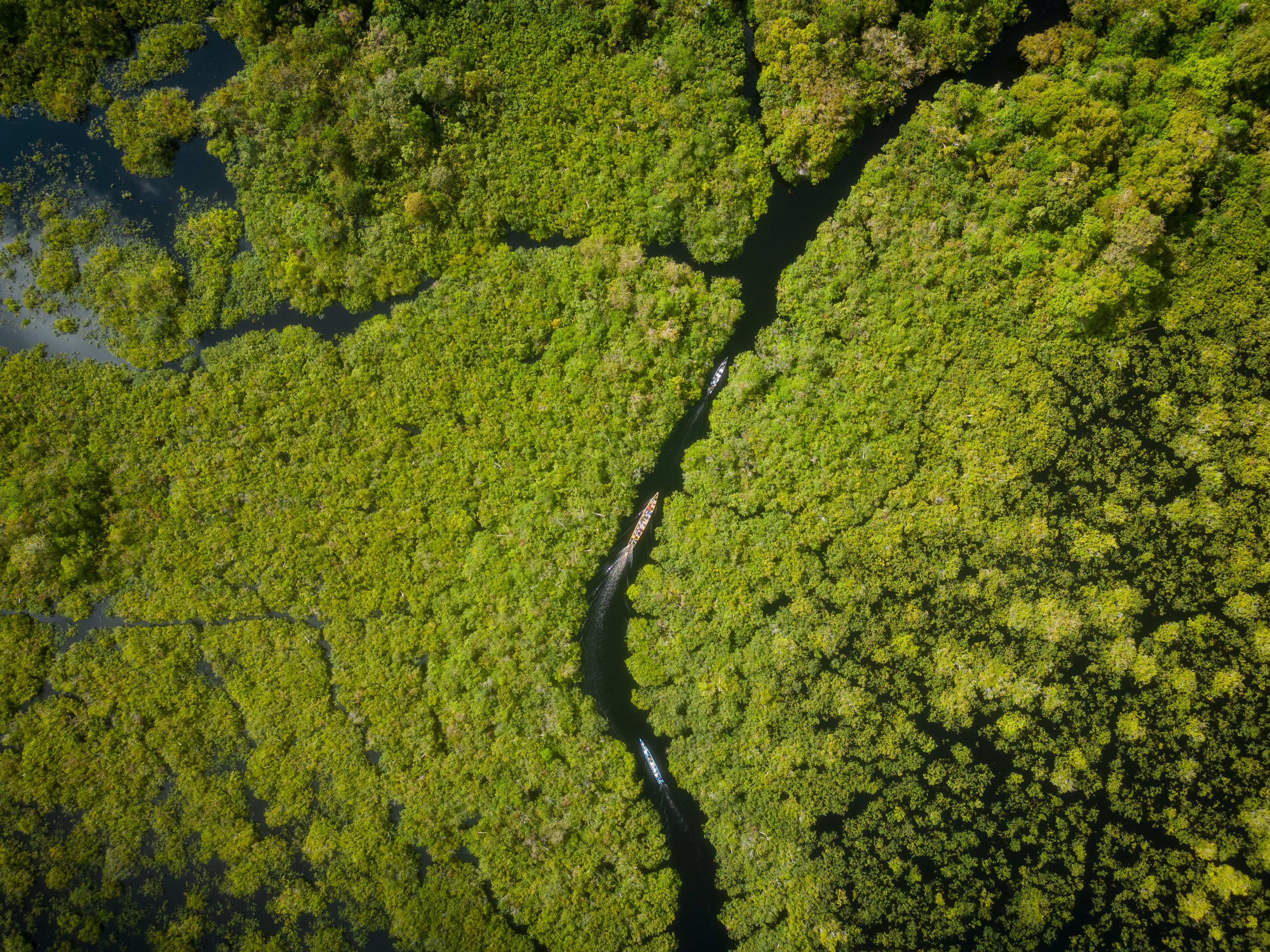 Tourism, Conservation & Carbon Markets